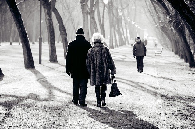 zimní procházka